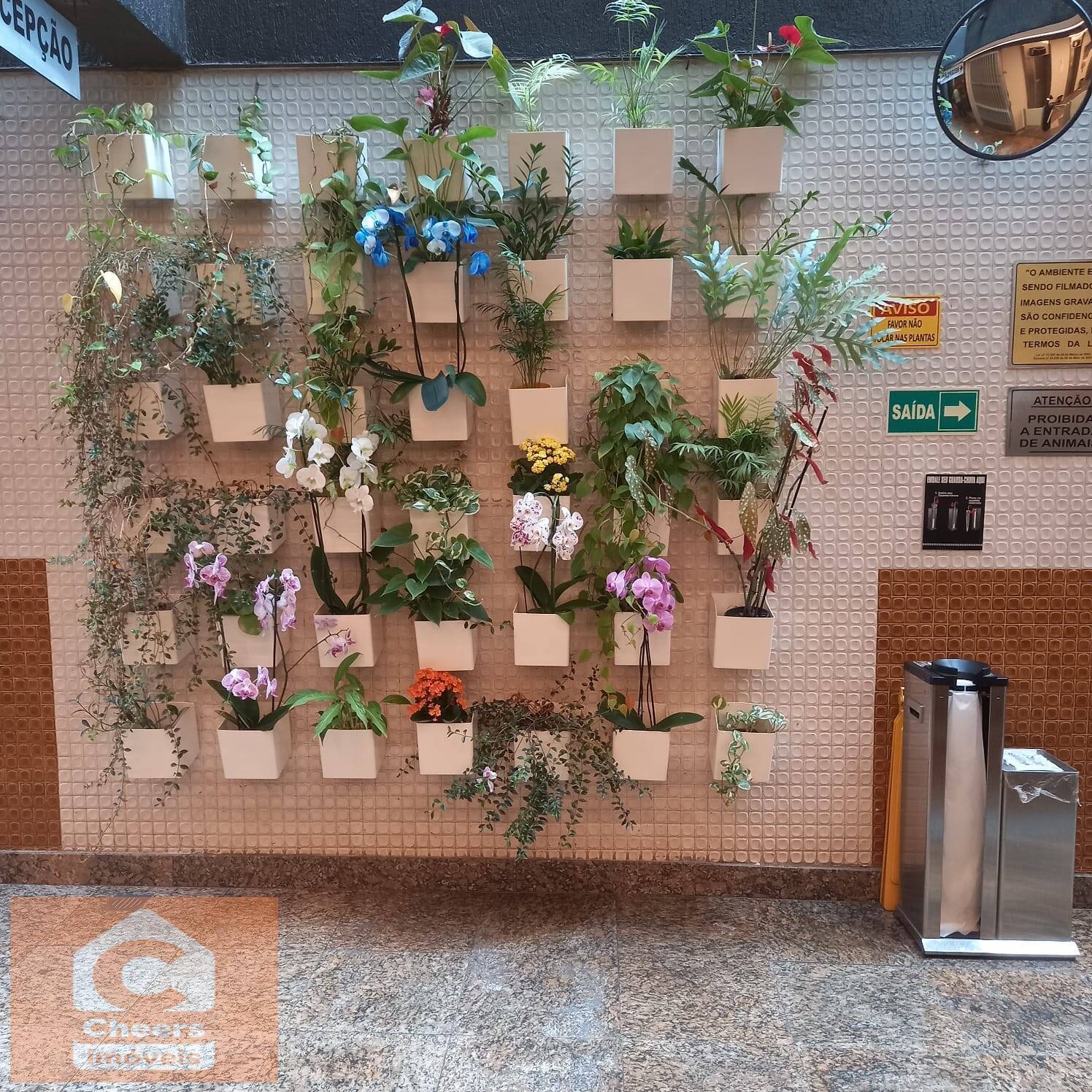 Sala-Conjunto, 23 m² - Foto 8